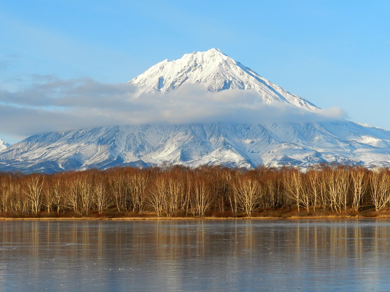 Threats to Biodiversity in the Arctic Tundra